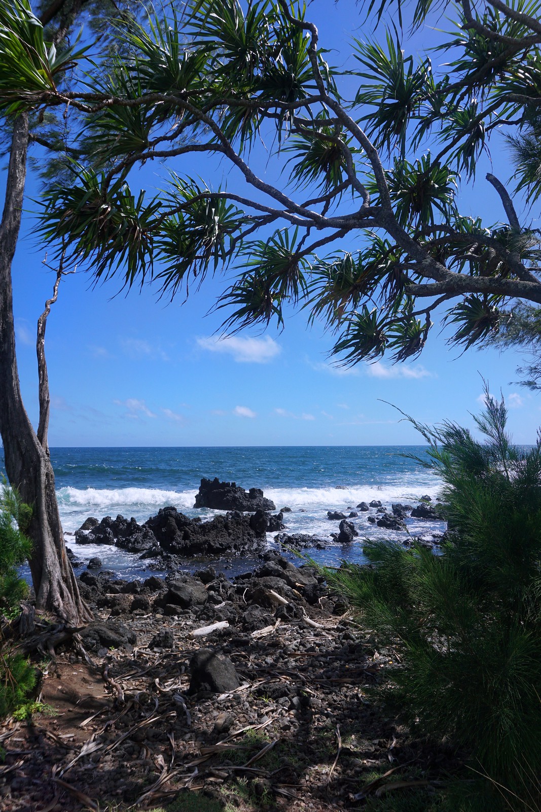 Best Road to Hana Stops Reasons to Visit Maui Hawaii