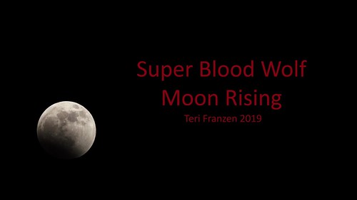 moon lunareclipse timelapse