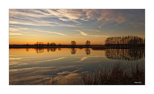 niederlande nederland limburgnoord limburgslandschap heerenven nationaalpark nationaalparkdemaasduinen maasduinen dxopl sonnenuntergang sunset winter