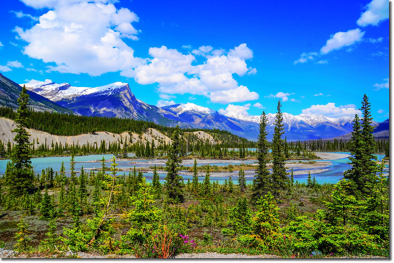 The scenery along  AB-93 N(Icefields Parkway) (9)