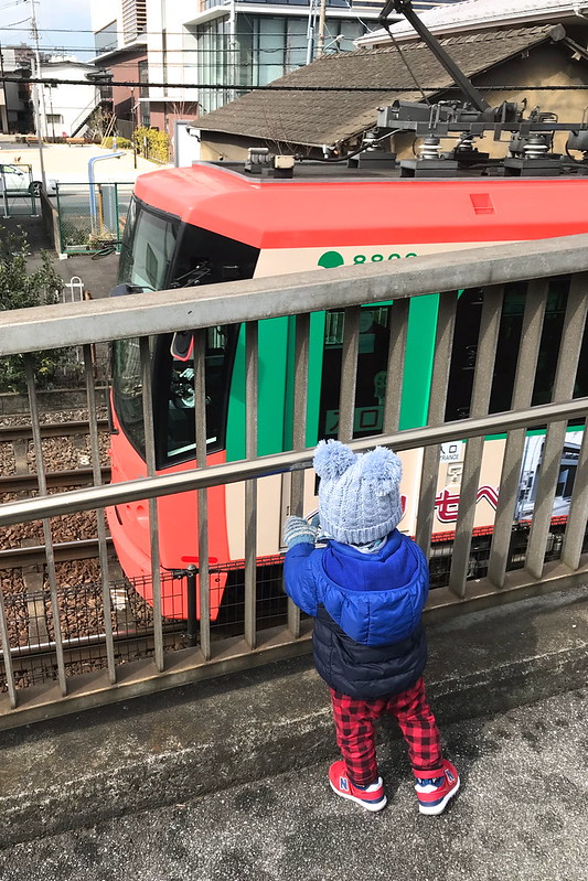 東京さくらトラム（都電荒川線）のトレインビュースポット