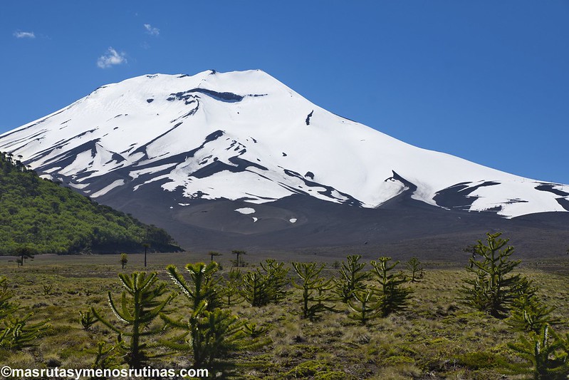 Araucanía I: Por los volcanes, lagos y araucarias de Malalcahuello, Conguillío y - Por el sur del mundo. CHILE (3)