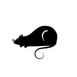 Ramalan Shio Bulan Agustus untuk  shio tikus