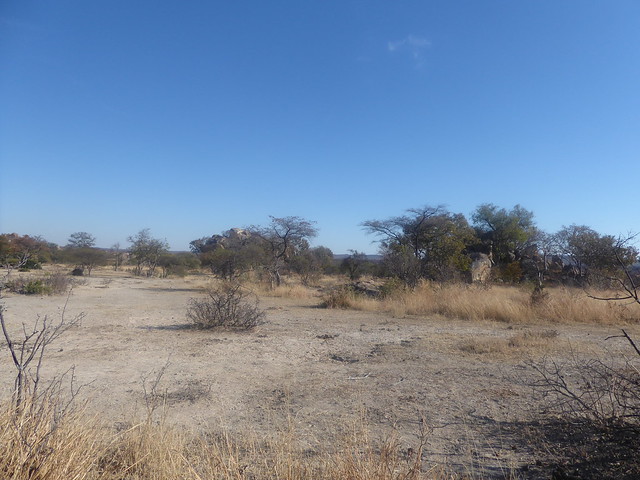 POR ZIMBABWE Y BOTSWANA, DE NOVATOS EN EL AFRICA AUSTRAL - Blogs de Africa Sur - Explorando el Parque Nacional de Matobo (3)
