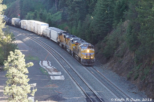 oregon bluemountains up unionpacific train manifest railroad