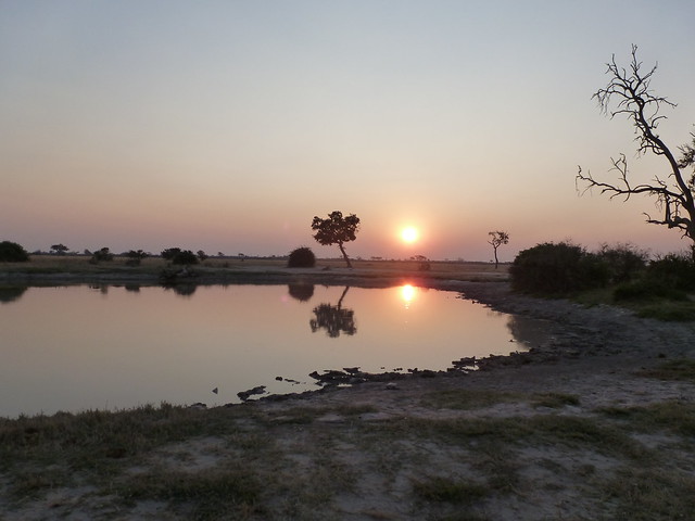 Dejamos Moremi y nos vamos a Savuti, (Parque Nacional de Chobe) - POR ZIMBABWE Y BOTSWANA, DE NOVATOS EN EL AFRICA AUSTRAL (35)