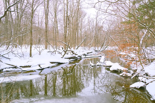 winter woods wetlands reflections river creek snow