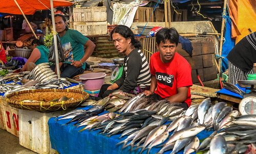 rantepao tanatoraja sulawesi indonesia market marketplace mercadotradicional traditionalmarket fish pescado