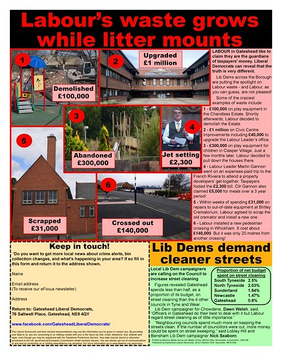Gateshead Lib Dems tabloid Feb 19 p4-page-0