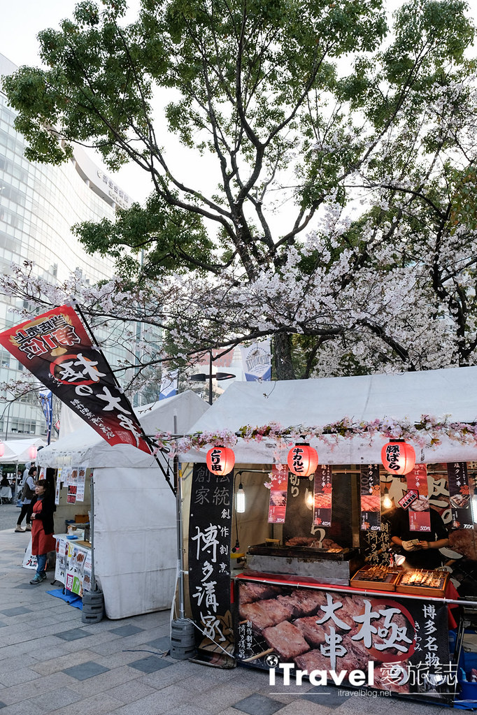 Fukuoka Cherry Blossom Spots Fukuoka Tenjin Cherry Blossom Festival (35)