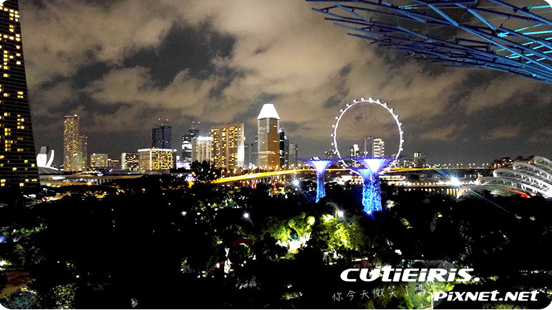 新加坡∥晚上最驚艷燈光秀濱海灣花園(Garden by the Bay)空中走廊(OCBC Skyway)超級樹(SUPERTREE GROVE)無法用言語形容的美 17 47392822752 c54bf2ce0a o