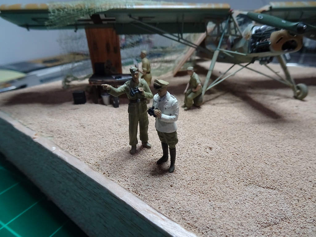 Storch 46