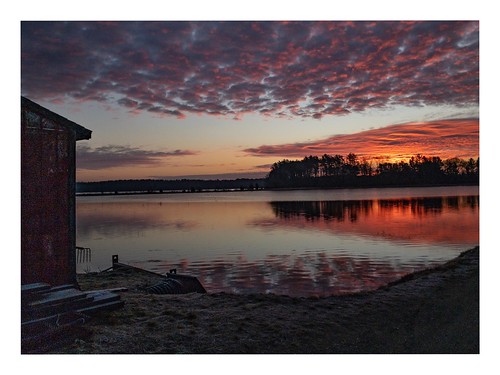 massachusetts unitedstates trees reflections clouds iphone8plus barn shed cranberrybog lake sunrise