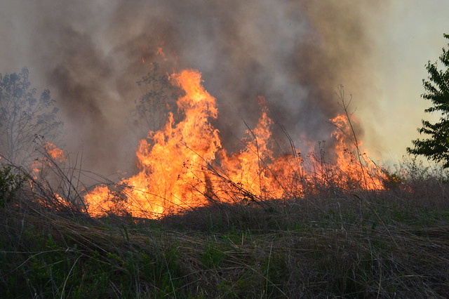 The decision to go ahead with a burn isn't final until the day of in order to make sure conditions are right