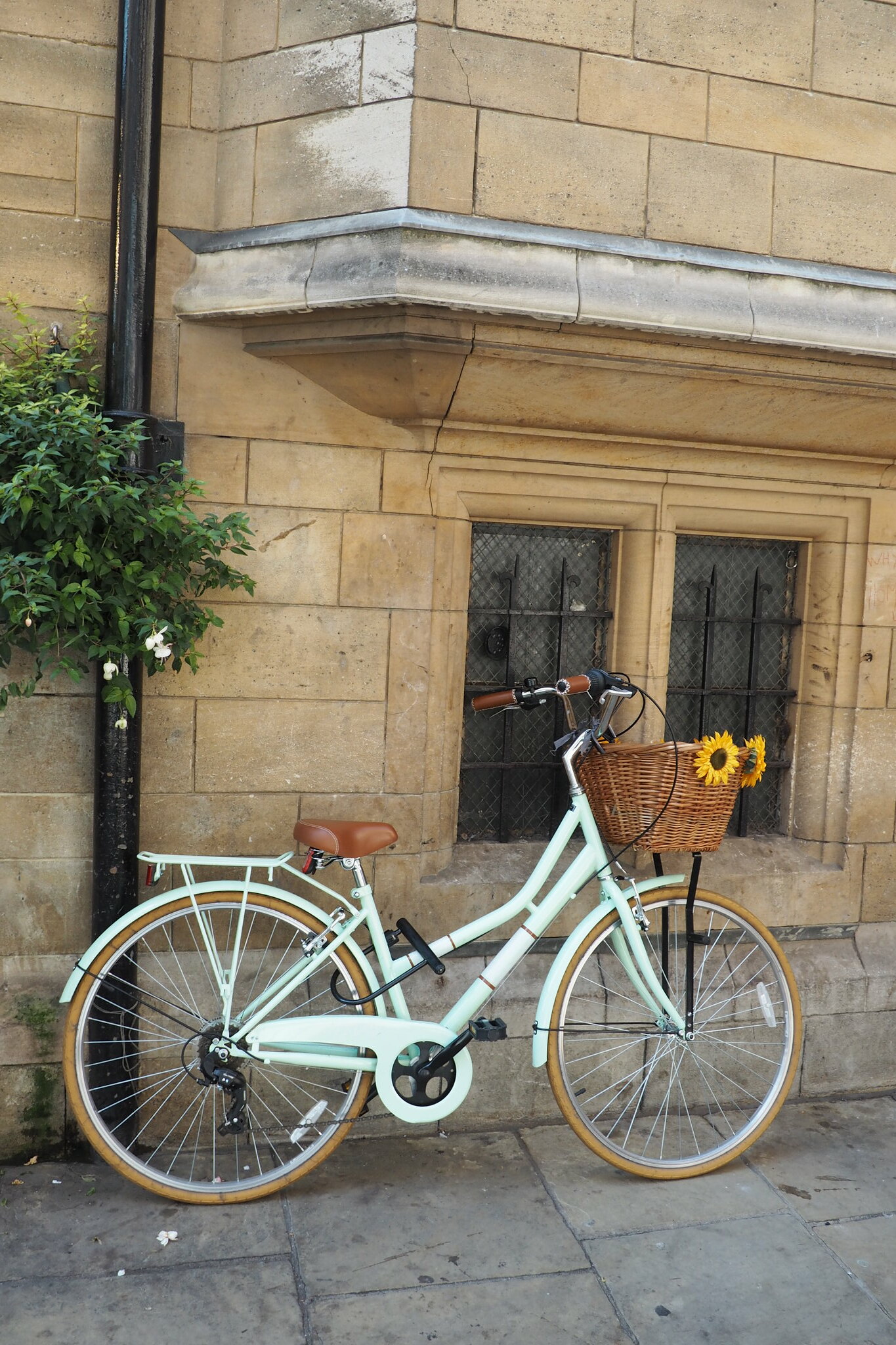 Cambridge Bike