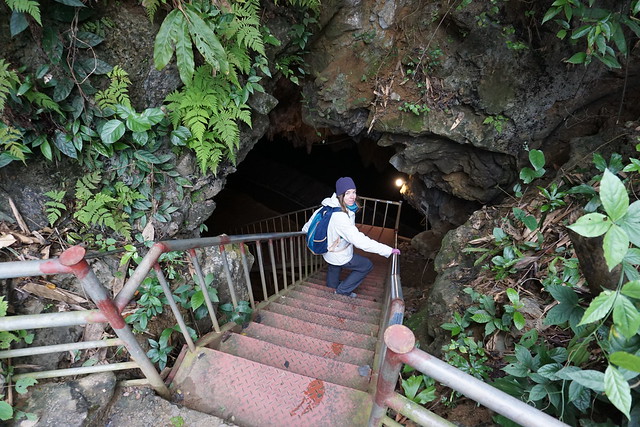 Más Tam Coc: recorrido en barca, Mua Cave y santuario de aves de Thung Nham - VIETNAM, TIERRA DE DRAGONES (25)