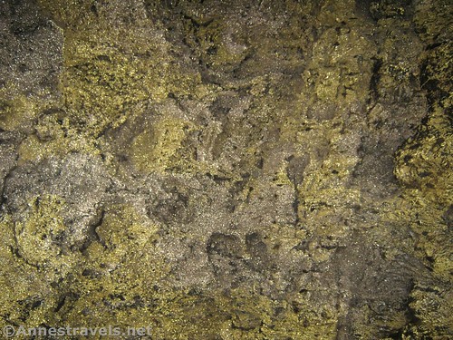 The ceiling of Golden Dome Cave, Lava Beds National Monument, California