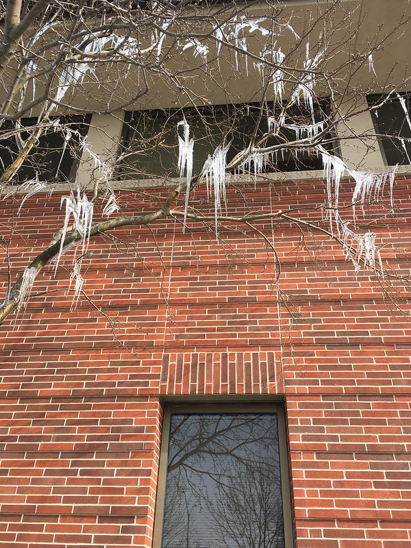 Icicles - 1