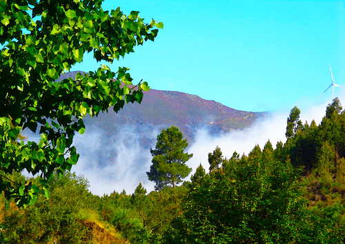 portugal beirabaixa sobraldesãomiguel aldeia serra nevoeiro natureza paisagem beleza cores árvore folhas verde torreeólica