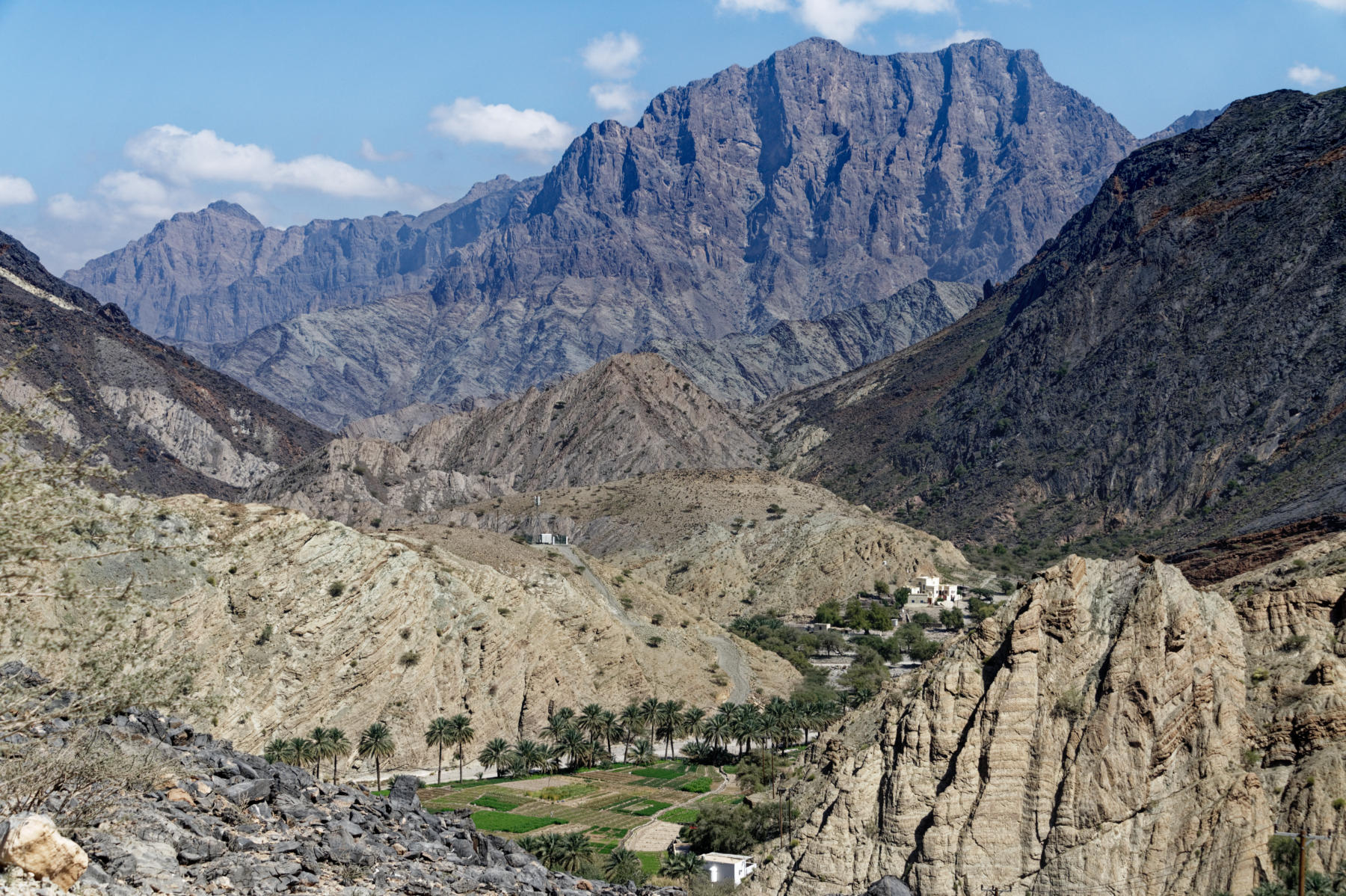 Balad Sayt Plantation, Oman