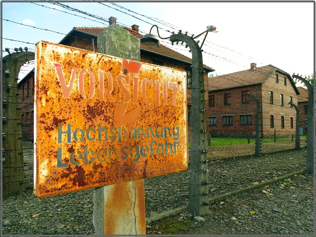 7 días en Polonia: Cracovia-Auschwitz-Tatras y Zakopane-Minas de Sal-Río Dunajec - Blogs de Polonia - Colina y Castillo de Wawel-Campo de concentración de Auschwitz (9)