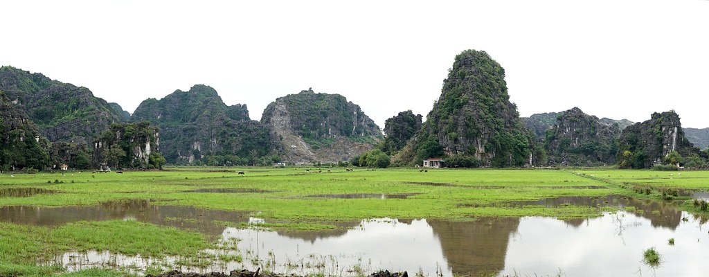 Más Tam Coc: recorrido en barca, Mua Cave y santuario de aves de Thung Nham - VIETNAM, TIERRA DE DRAGONES (14)
