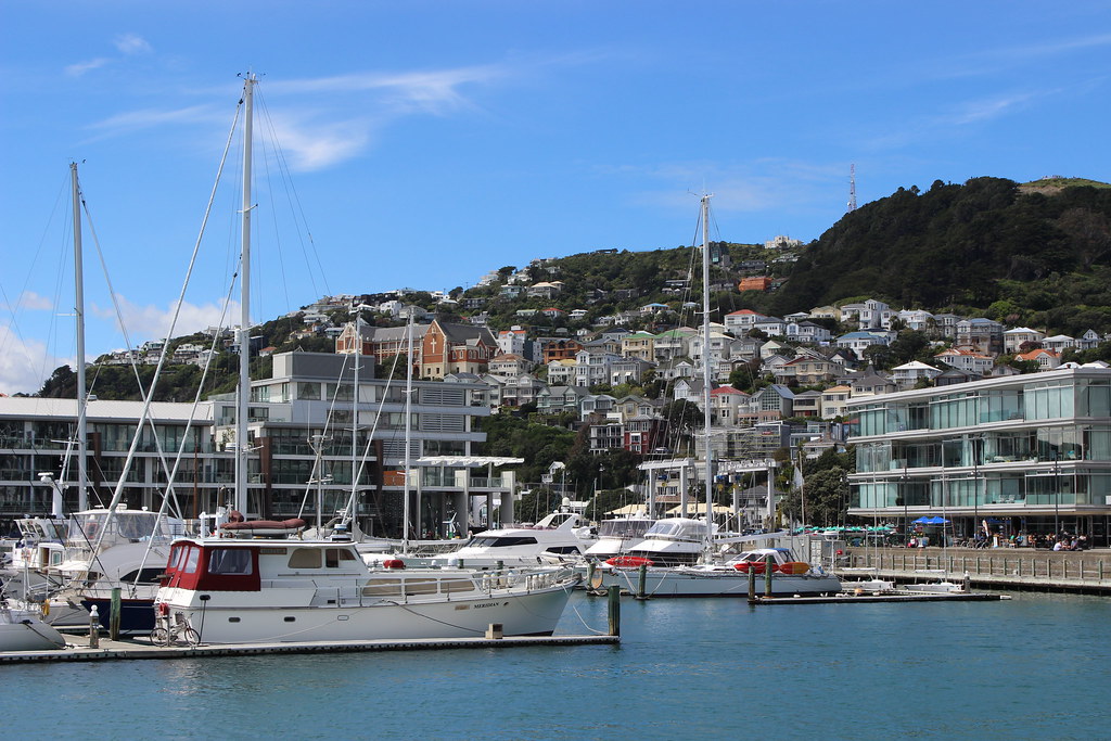 Wellington Port 3