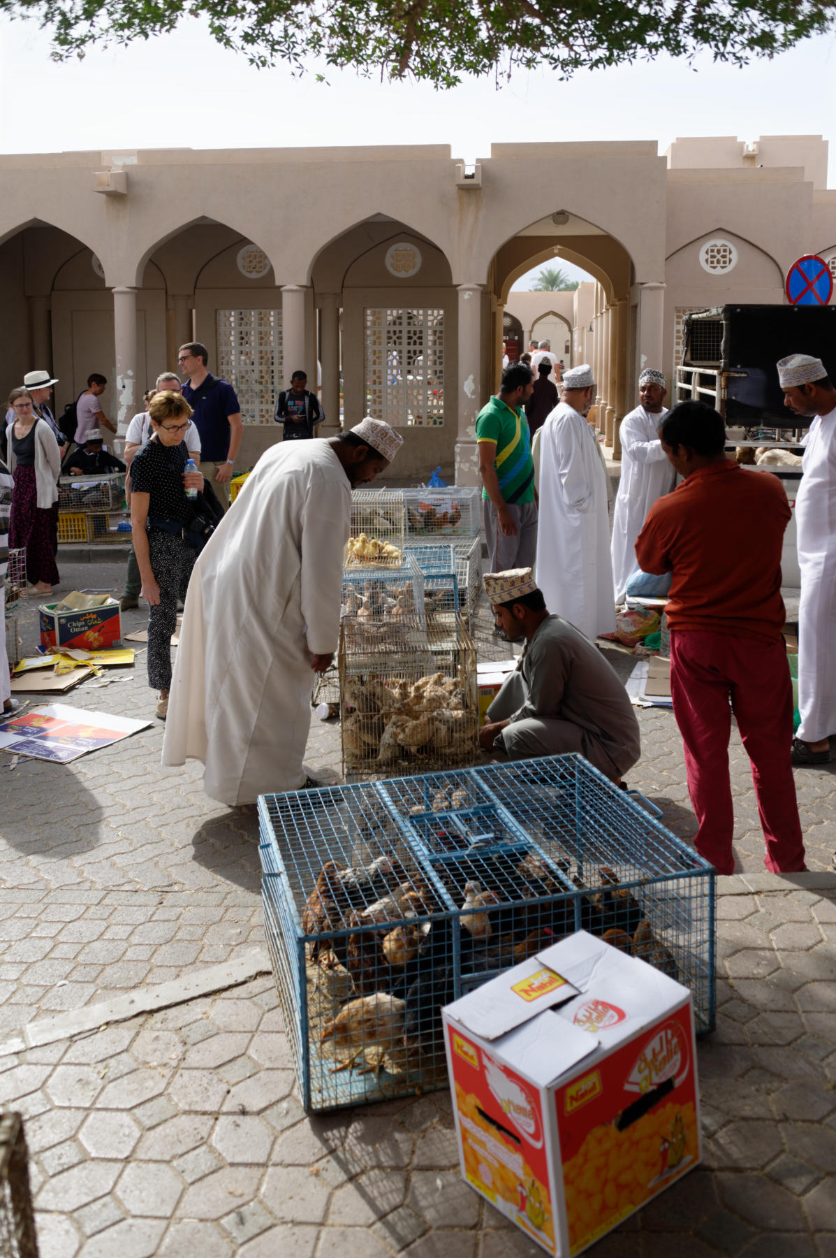 Buying and Selling animals, Nizwa Souq, Oman