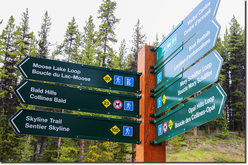 Moose Lake Loop trail (3)