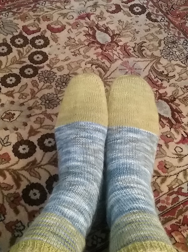 Carol’s sixth pair of socks knit using Felicia Lo’s Evo Socks pattern