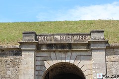 Fort de Bois l'Abbé - Photo of Deyvillers