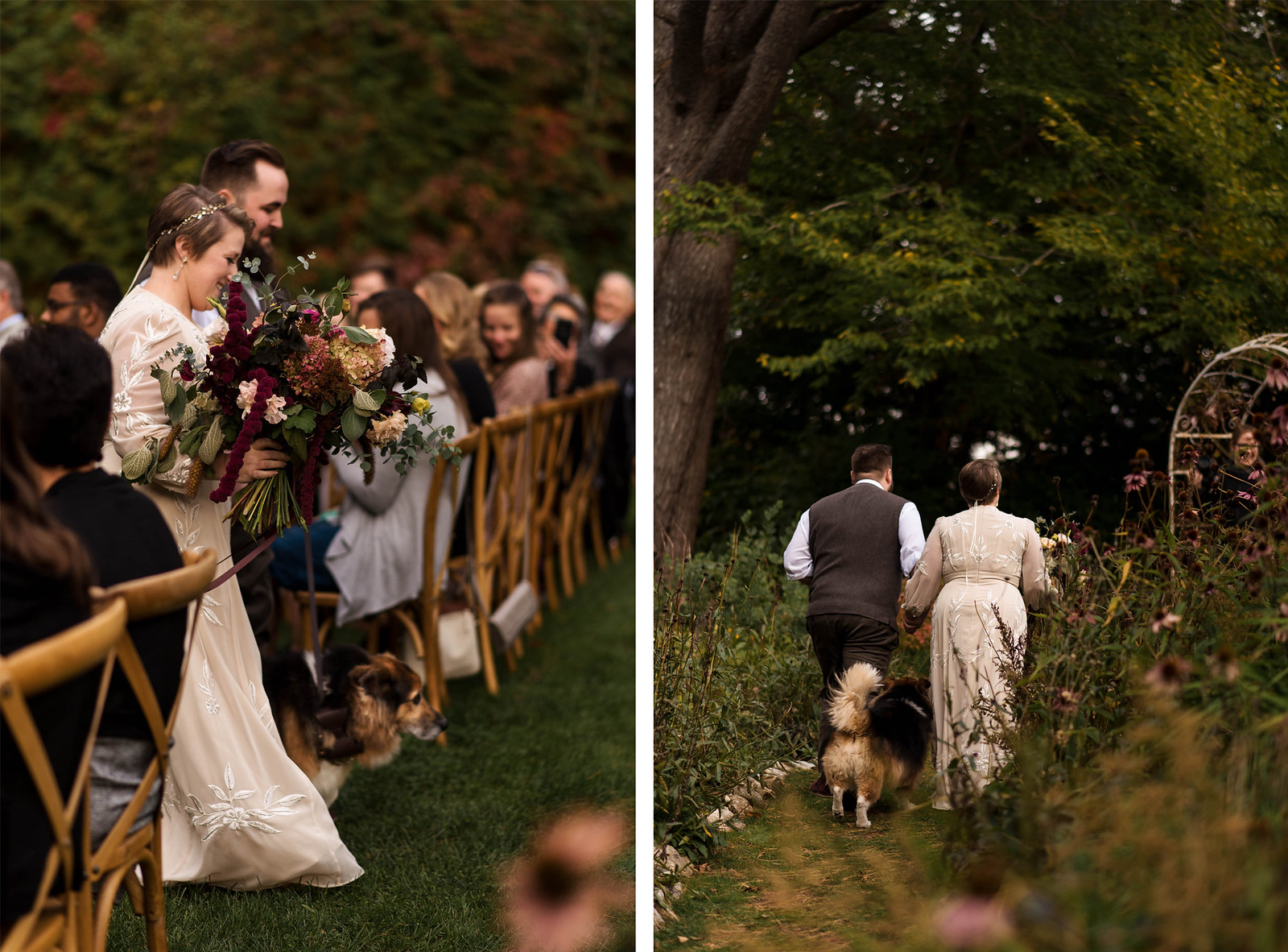 dog-walk-down-wedding-aisle-photography