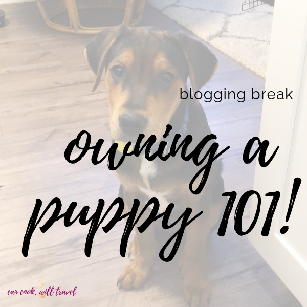 Blogging Break