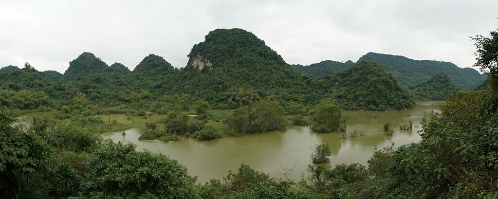 Más Tam Coc: recorrido en barca, Mua Cave y santuario de aves de Thung Nham - VIETNAM, TIERRA DE DRAGONES (29)