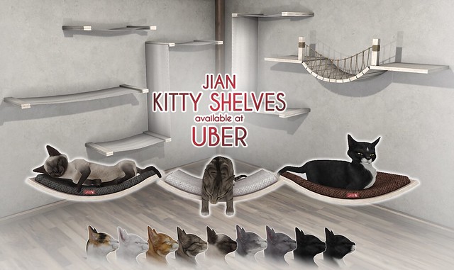 JIAN Kitty Shelves (Uber Jan '19)