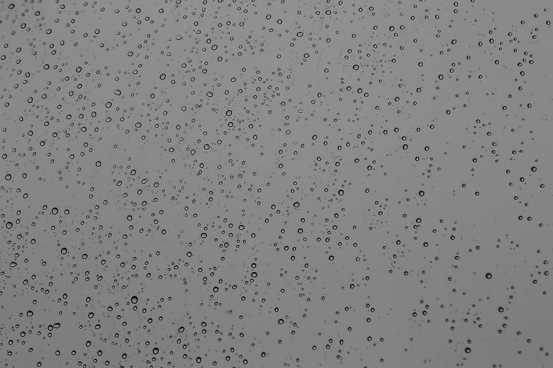 Rain-on-the-Window-a-7D1-021019