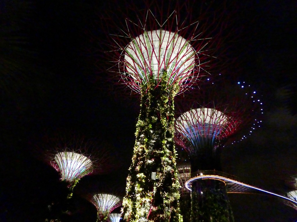 The Supertrees illuminated during the Garden Rhapsody music and light show, Singapore