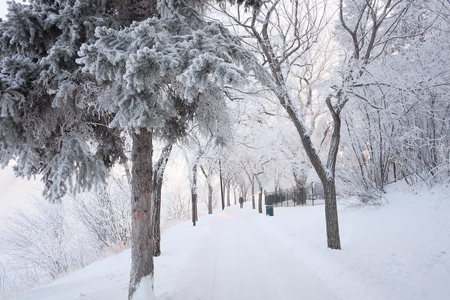 Winter in Saskatoon