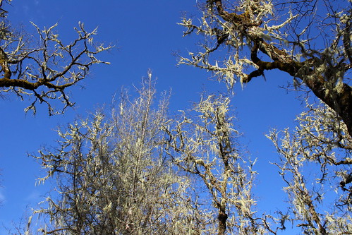 mildred kanipe park douglas county oregon oakland sutherlin hiking oaks roseburg