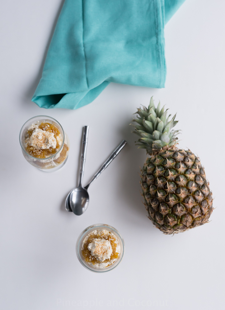 Pineapple and Coconut Fool www.pineappleandcoconut.com