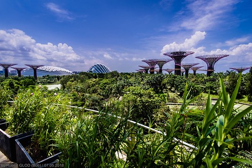 bay cloud cloudforest dome exporttoflickr flower flowerdome forest gardens gardensbythebay grove supertree supertreegrove tree asia construction singapore sg