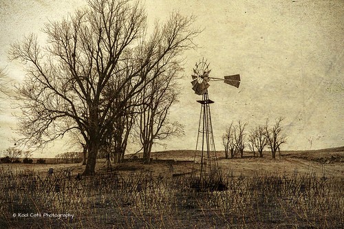 textures trees windmill prairie landscape oklahoma outdoor photography artistic art sepia