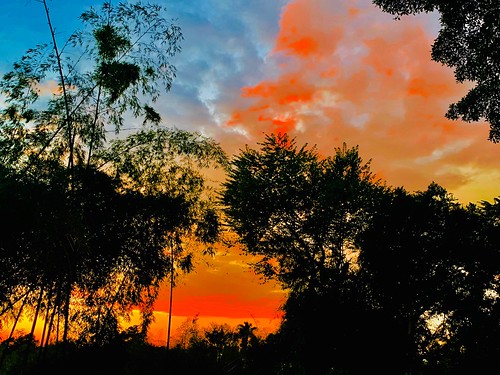 xsmax iphone summer hot light clouds colors forest afternoon trees dusk sunset cerritos cartago colombia risaralda pereira