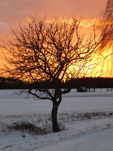 sonnenuntergang sunset oberpfalz upper palatinate himmel sky wolken clouds landschaft landscape schneelandschaft winterlandschaft schnee snow baum tree