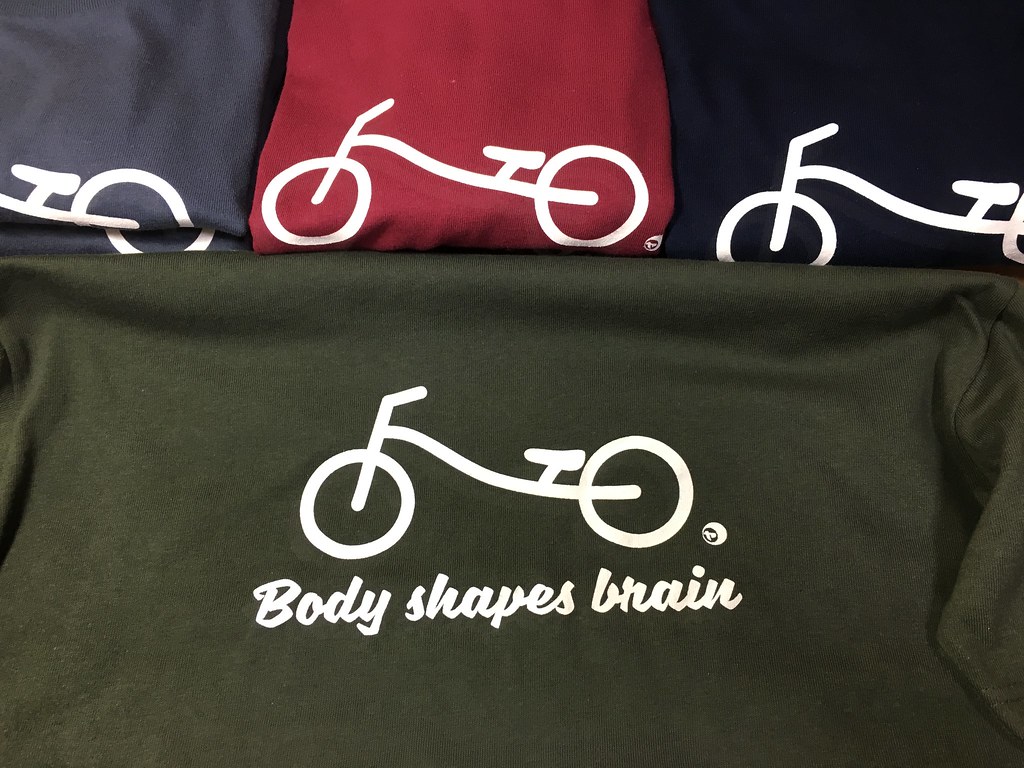Body shapes brain