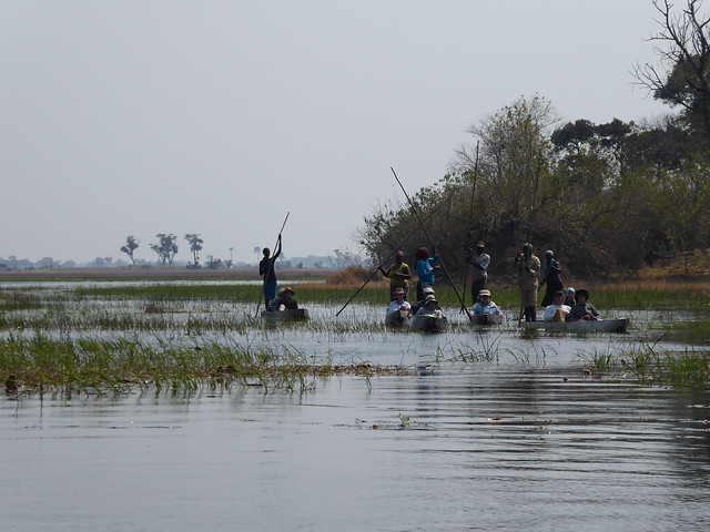 POR ZIMBABWE Y BOTSWANA, DE NOVATOS EN EL AFRICA AUSTRAL - Blogs de Africa Sur - Traslado a Maun. Nos adentramos en el Delta del Okavango (10)