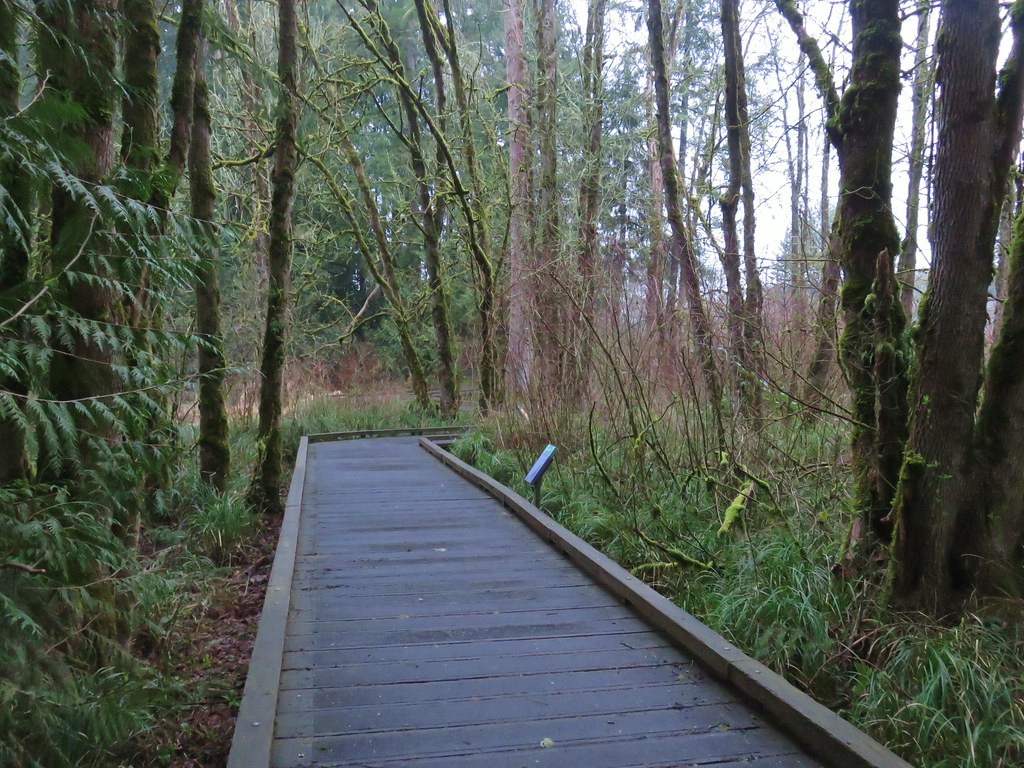 Oak Trail