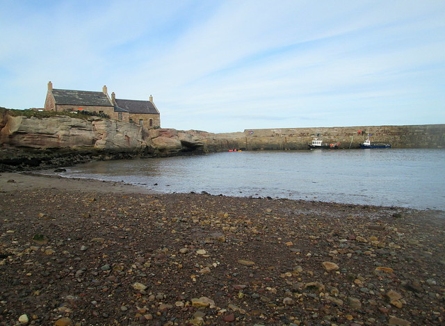 Cove Harbour