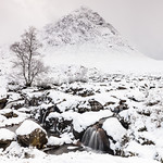 The Herdsman of Etive by Iain Houston