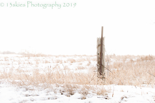 lighter focus lightroom fence wire older old worn countryroad grass winter cleaverrd field sonyalpha99 fencefriday fenceposts barbedwire alone single whire highkey happyfencefriday snow cold